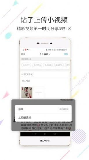白话猫手机版图2