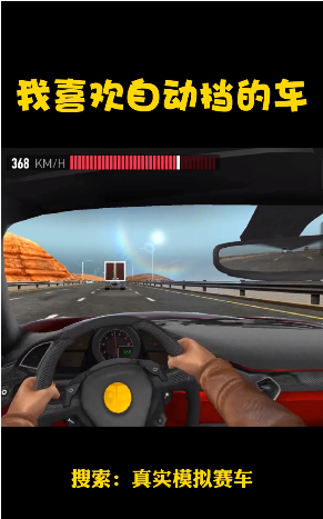 真实模拟赛车手机版图3