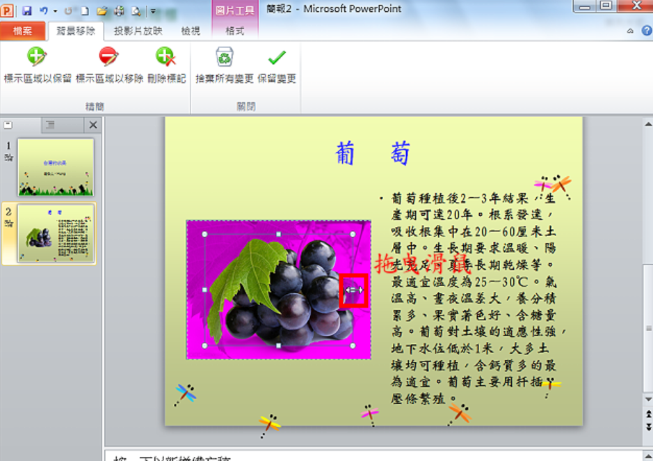 PowerPoint2010去除图片背景