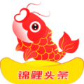 锦鲤头条图标