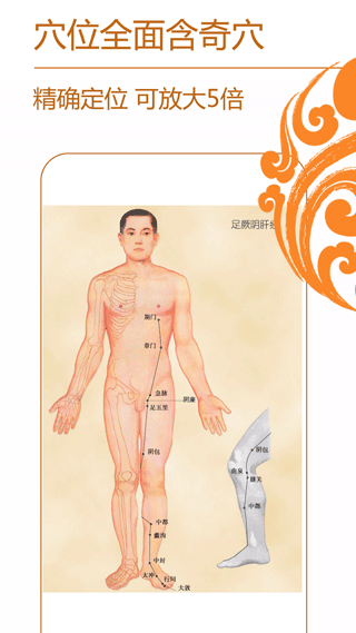 经络养生手机版图4