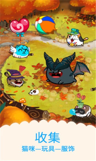名贵猫咪图2