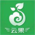 云果图标