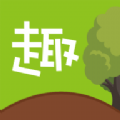 趣树图标