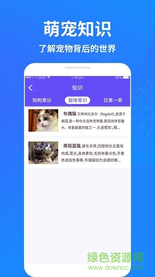 萌宠猫狗交流器最新版图3