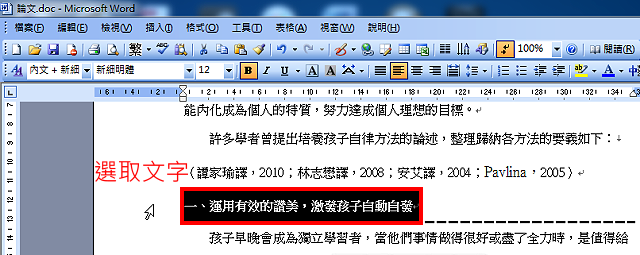 Word 2003显示格式