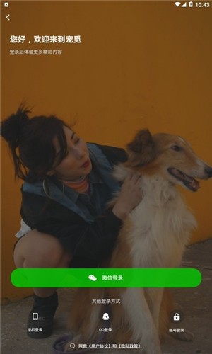 宠觅图3