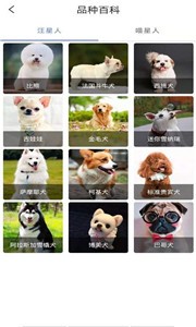 随身动物园图2