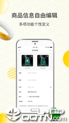 珠宝猫图4