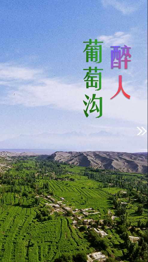 高昌好地方图3