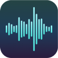 专业变声大师APP最新手机版