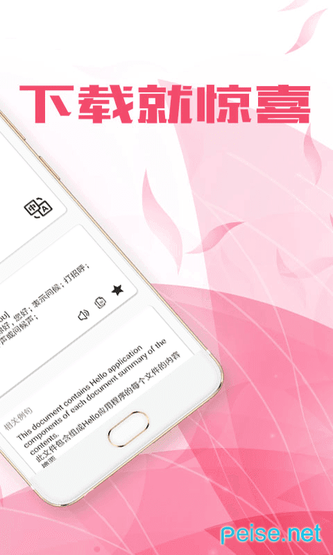 百家翻译图2
