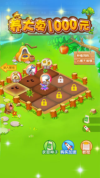 全民养猪安卓最新版图1