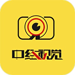 中经视觉图标