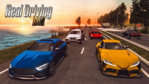 realdrivingsim汽车版图3