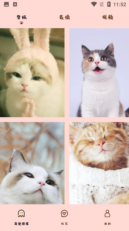 喵喵撸猫图3