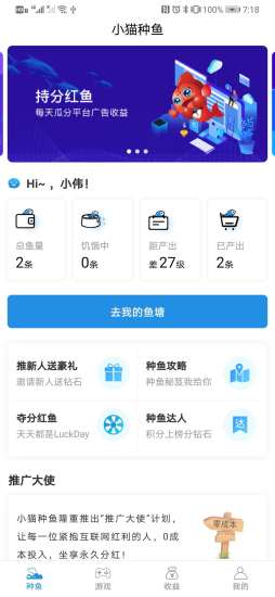 小猫种鱼图2