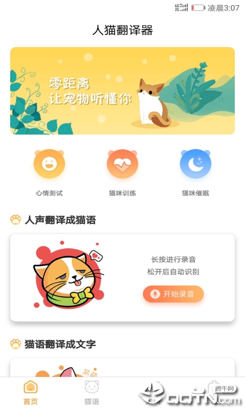 猫咪翻译器图1