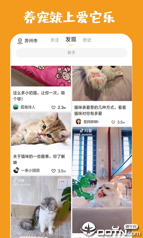 爱它乐宠物图3