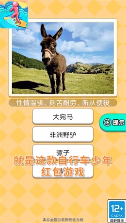 自行车少年图3