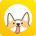 小打卡app图标