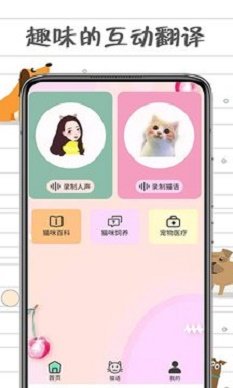 小猫交流器图3