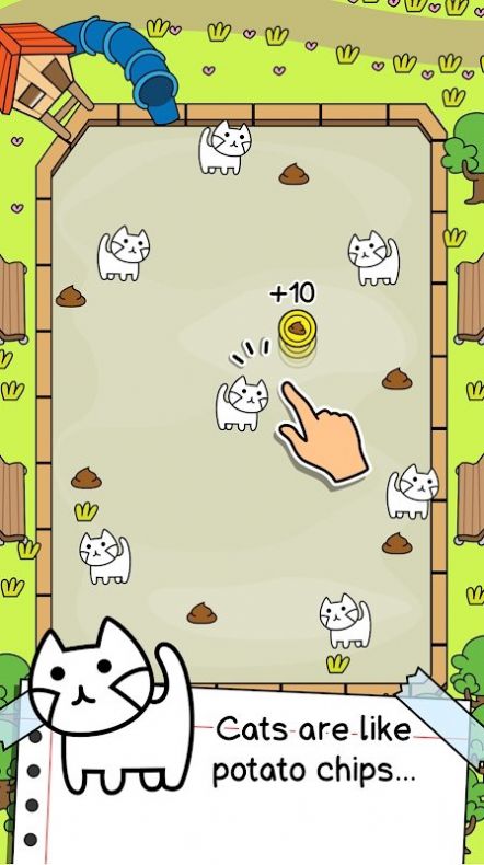 猫咪进化图4