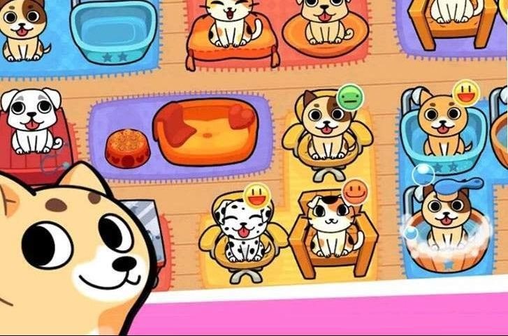 金谷宠物世界1.0图1