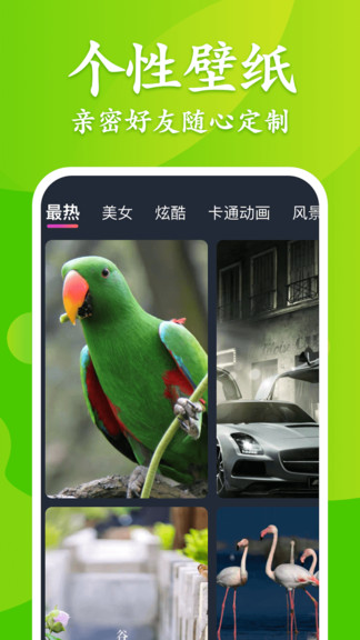 大众来电秀最新版