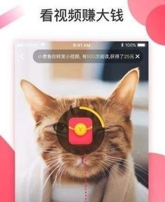 抖淘短视频图1