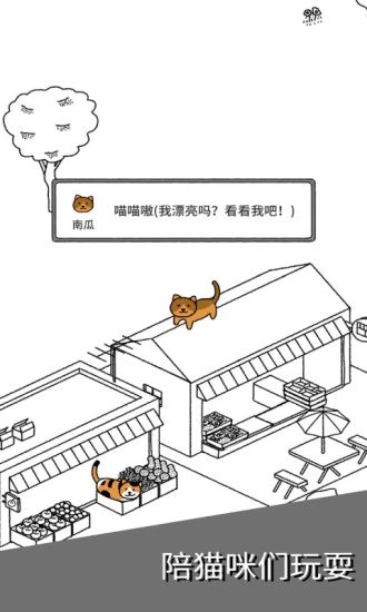 猫咪真的超可爱图1