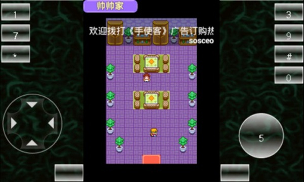 宠物王国破解版