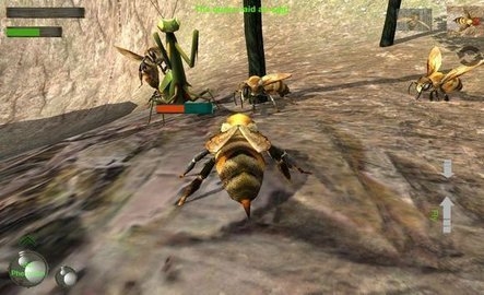 蜂巢模拟器3D图2