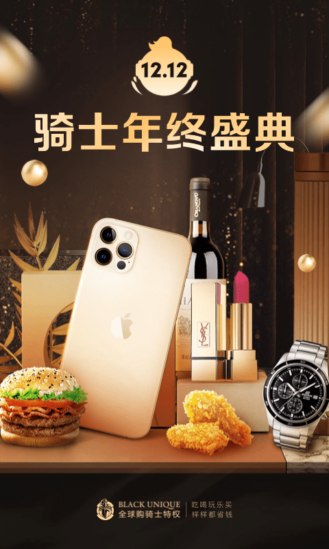 骑士特权图1