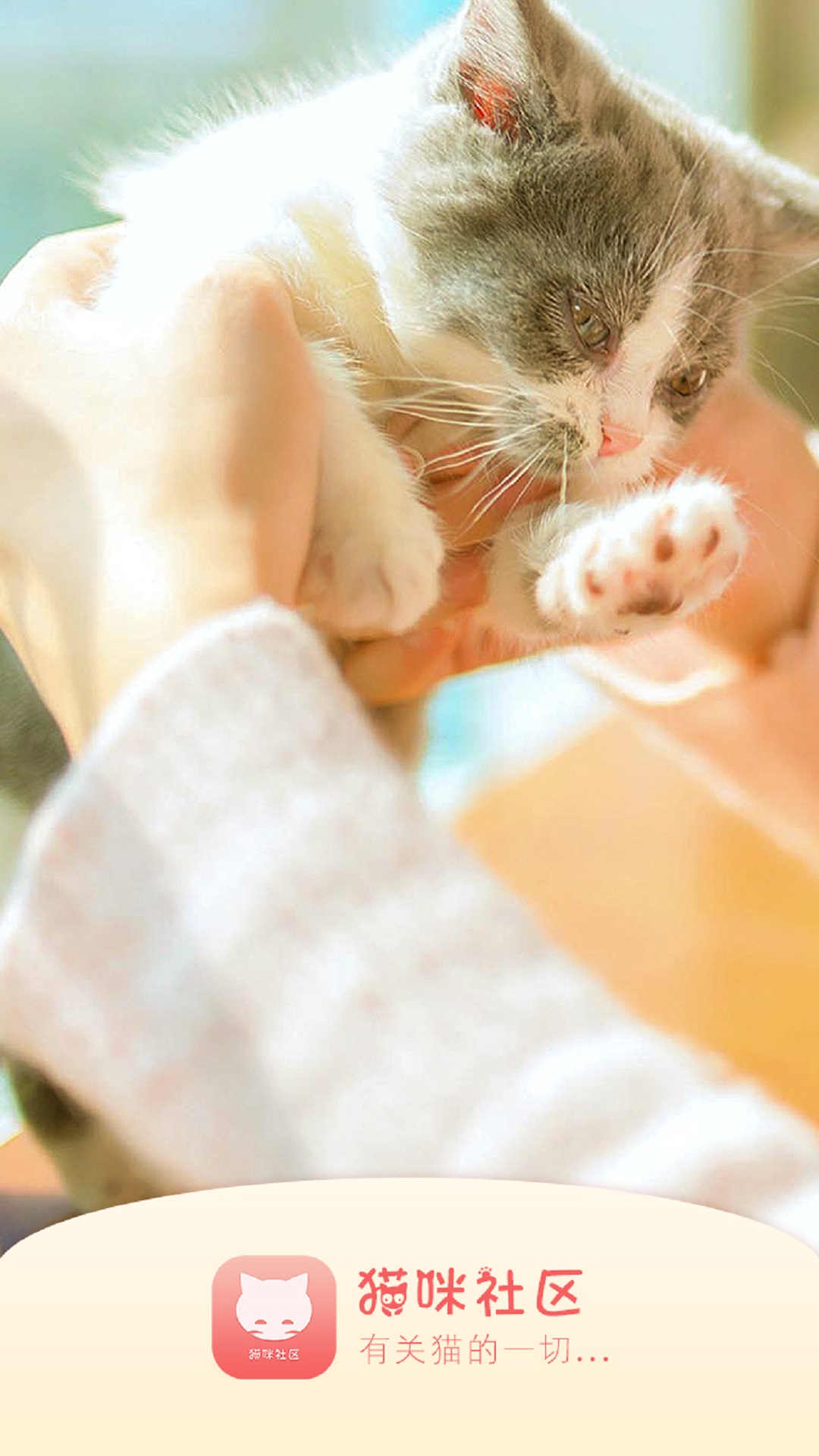关于猫咪社区破解版苹果版的信息