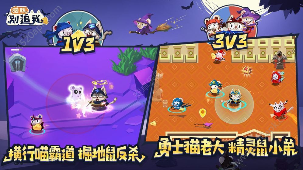 猫咪别追我破解版图2