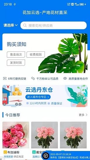 花加云选图3