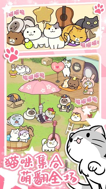 地铁遇见猫图4