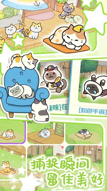 地铁遇见猫图3