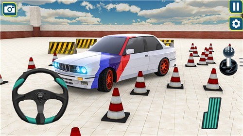 停车大师模拟游戏图4