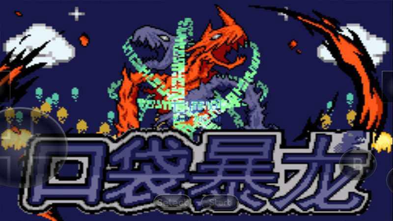 口袋妖怪：盖亚图2