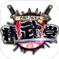精武堂无限关卡攻略提示安卓最新版