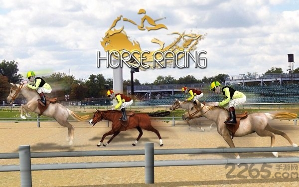 赛马模拟器2021HorseRacingGames图2