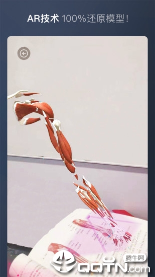 维萨里3D解剖图3