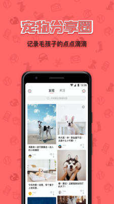 宠窝图3