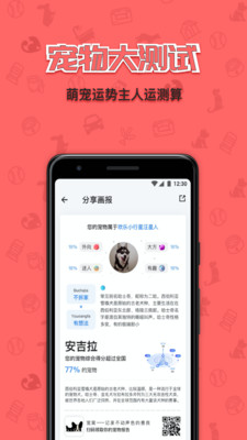 宠窝图1