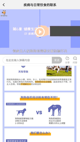 宠物训养小课堂图1
