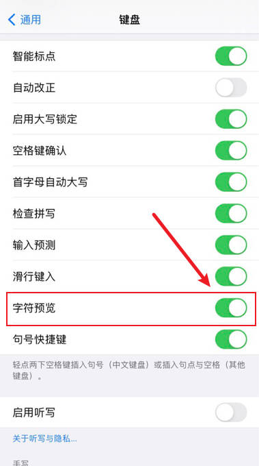 iPhone键盘如何开启字符预览功能