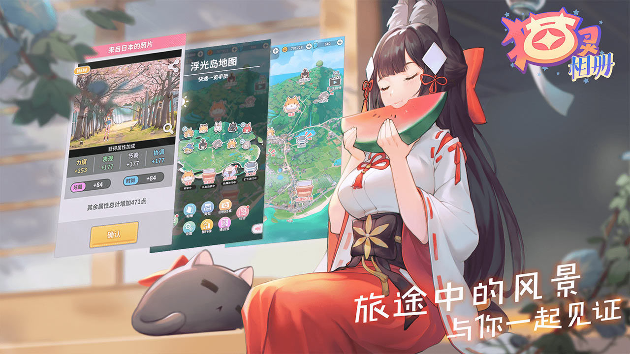 猫灵相册图5