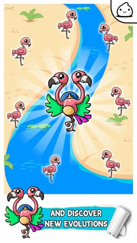 火烈鸟进化图3
